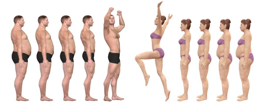 Average Body Fat Calculator 41