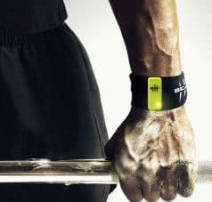 Beast Sensor on Wrist Band