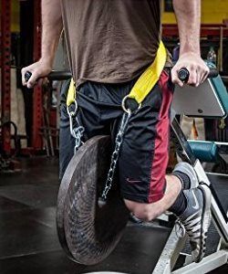 Spud Inc Dip & Pull Up Belt Spud Inc Dip & Pull Up Belt