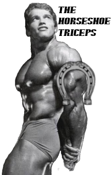 horseshoe triceps