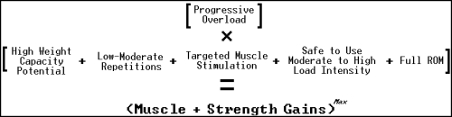 muscle and strength building equation