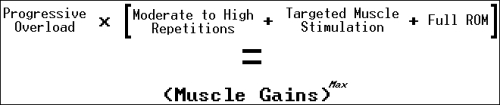 muscle building equation