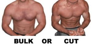 Create A Bulking Or Cutting Bodybuilding Diet Plan In 10 Easy Steps