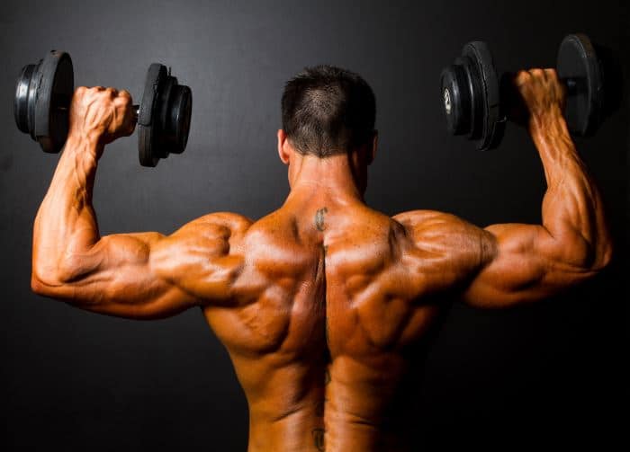 Shoulder Anatomy | All About the Shoulder Muscles