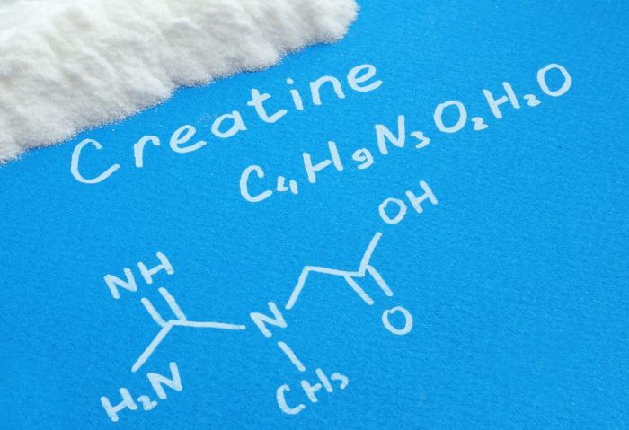 best creatine supplement