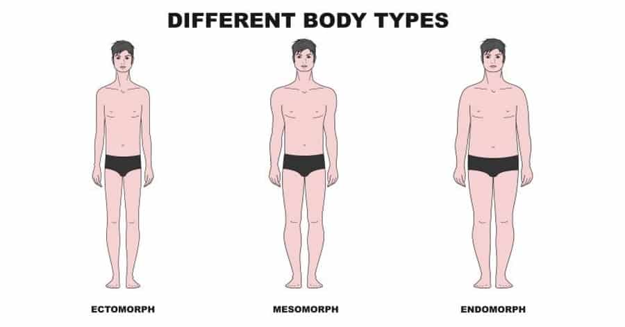 Different Body Types  Are You An Ectomorph, Endomorph, or Mesomorph?