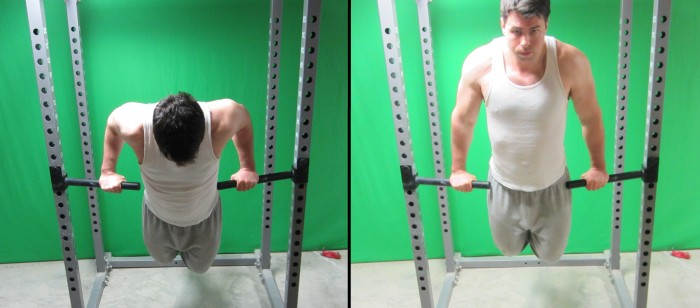 pronated grip dips