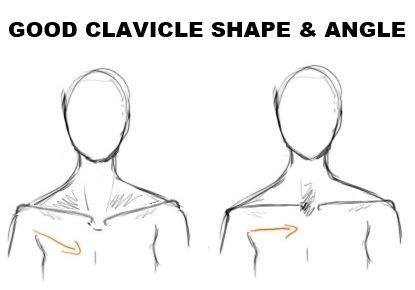 aesthetic-clavicle-shape-and-angle