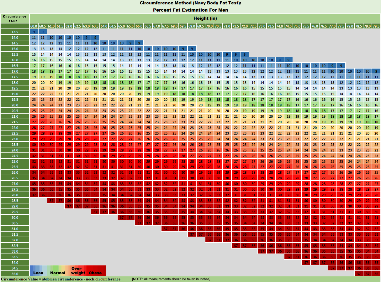 male navy body fat test table