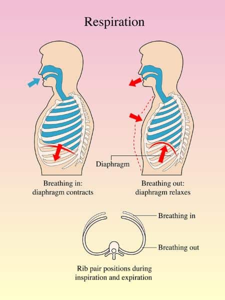 diaphragmatic breathing