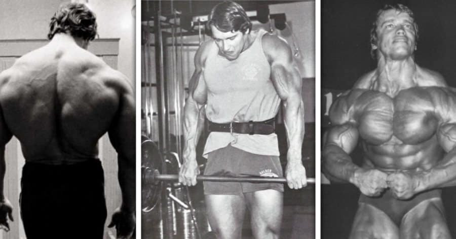 Power Shrugs - Arnold Schwarzenegger Doing Shrugs