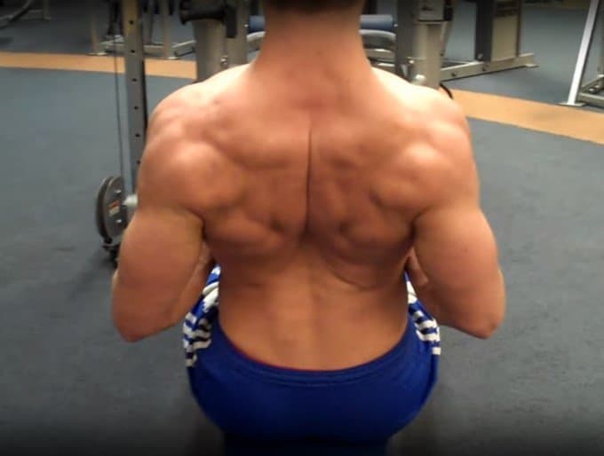 Seated Cable Row - Midpoint - Rear