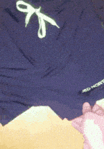 Stretchy Squat Shorts