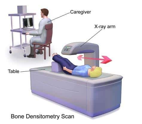 How DEXA Scans Work