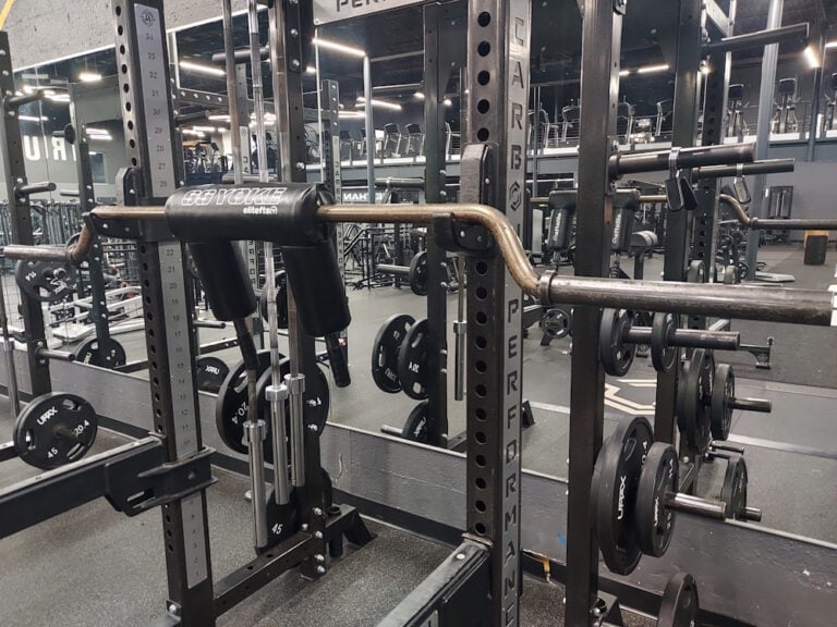 7 Best Safety Squat Bars to Buy in 2024 SSB Buying Guide