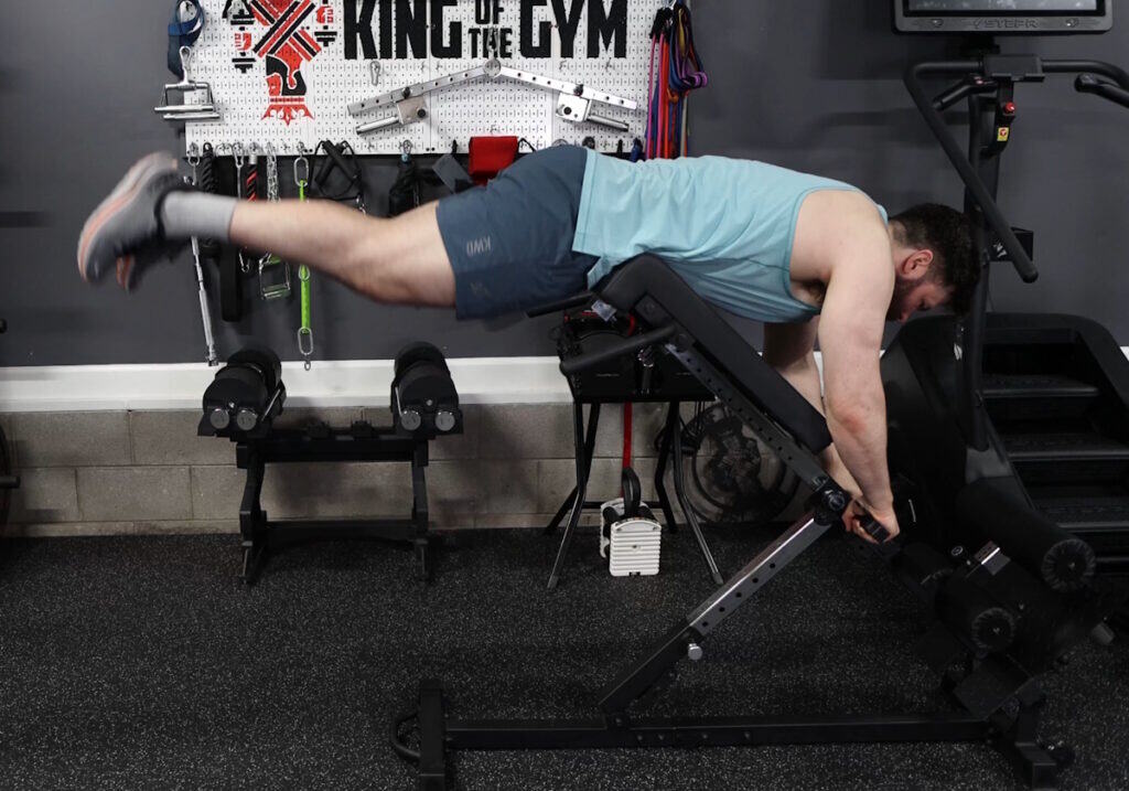 Nordic Back Extension Machine V2 - Reverse Hypers