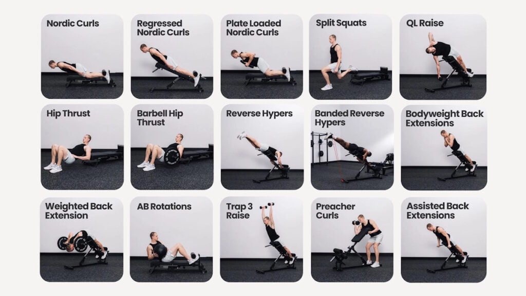 Nordic Back Extension Machine V2 - Exercises